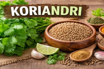 Koriandri