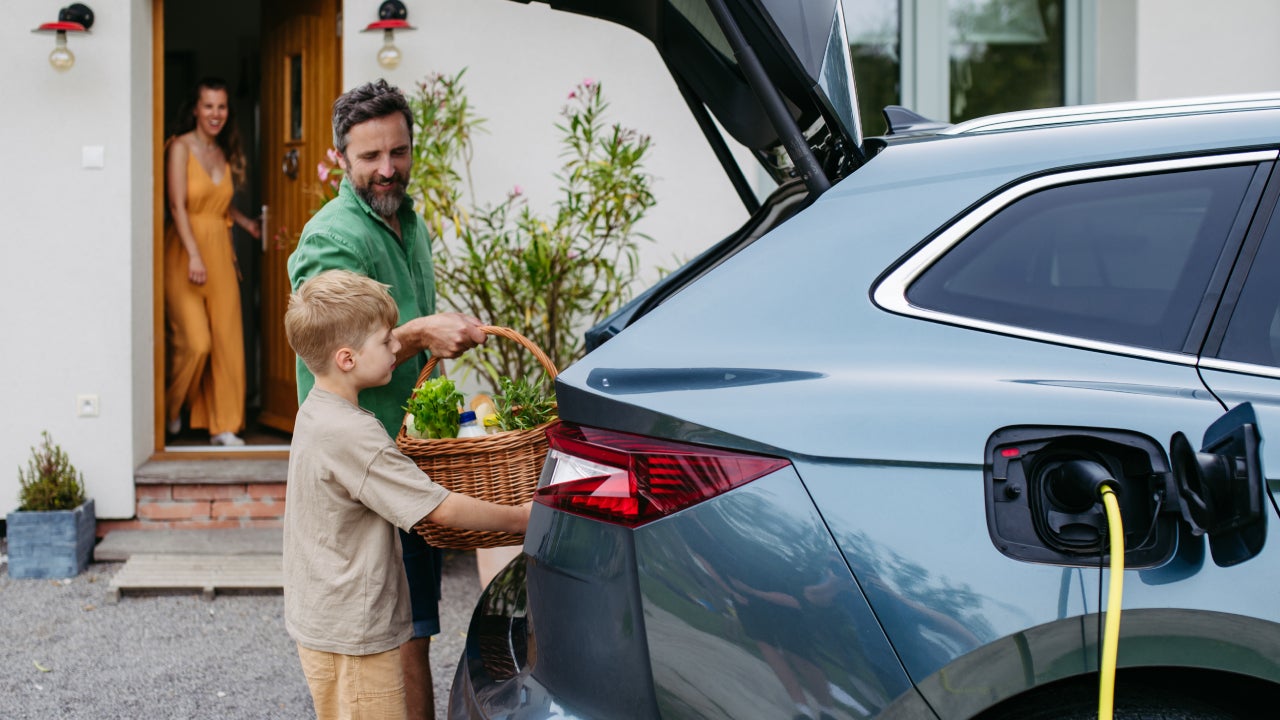 Electric Vehicle Auto Broke